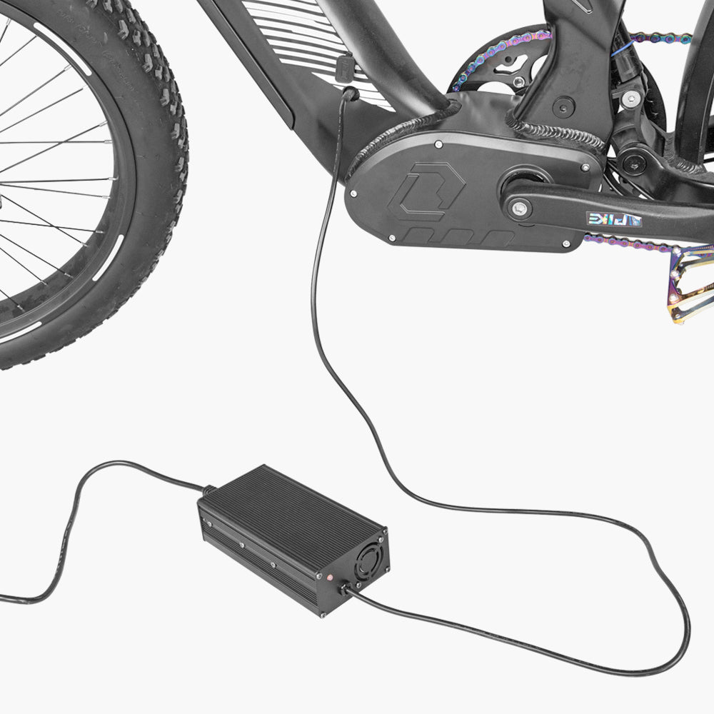 52V 5A fast charger for Ranger/Trax/Rover/Ovia