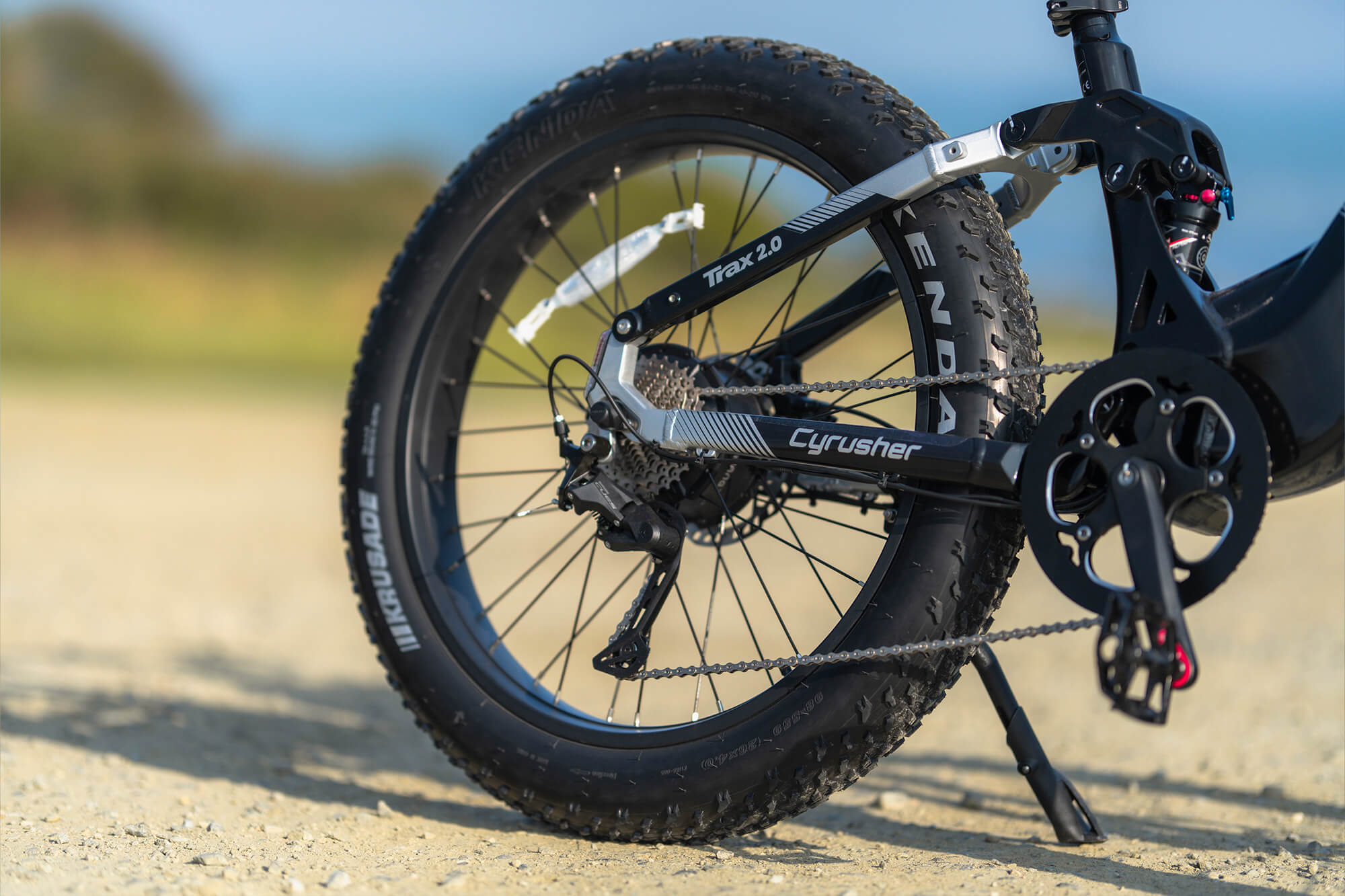 ebike tire