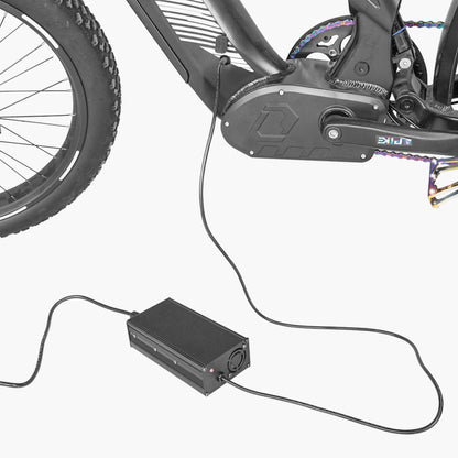 52V 5A fast charger for Ranger/Trax/Rover/Ovia