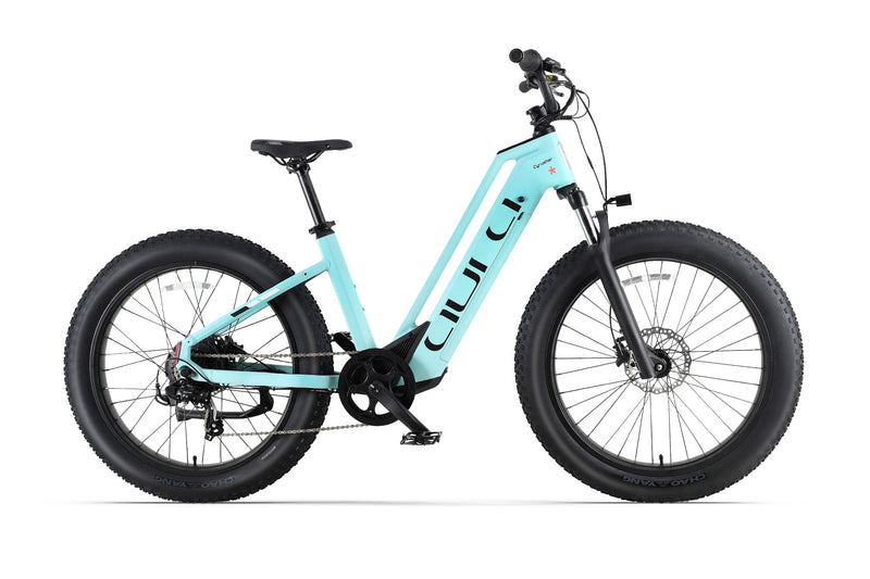 Aura Step-Through E-Bike