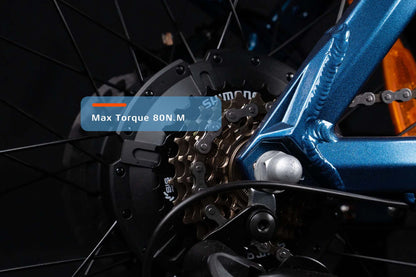 Luxe City E-Bike