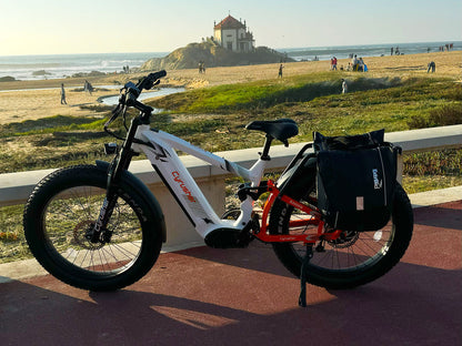 Cyrusher Ranger 1.0 Full-Suspension All-Terrain E-Bike